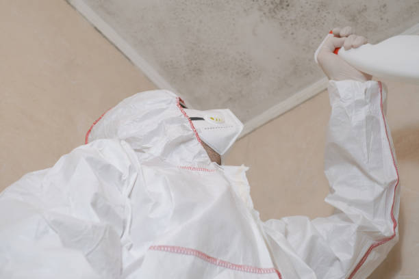 Best Attic Mold Removal  in Reserve, LA